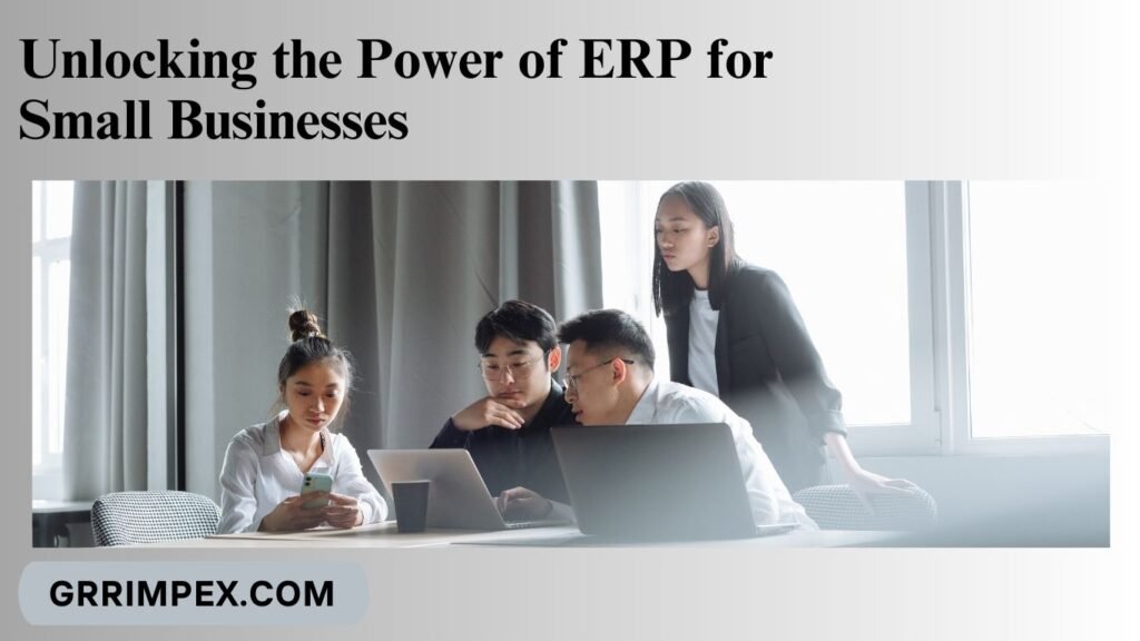 Unlocking the Power of ERP for Small Businesses