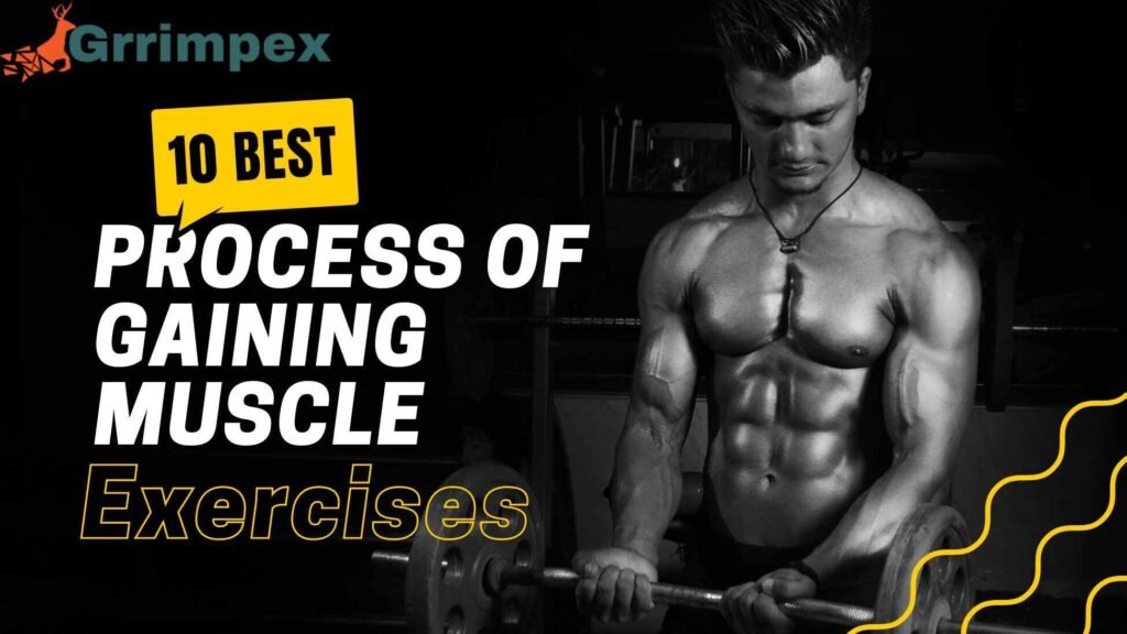 Process of Gaining Muscle 